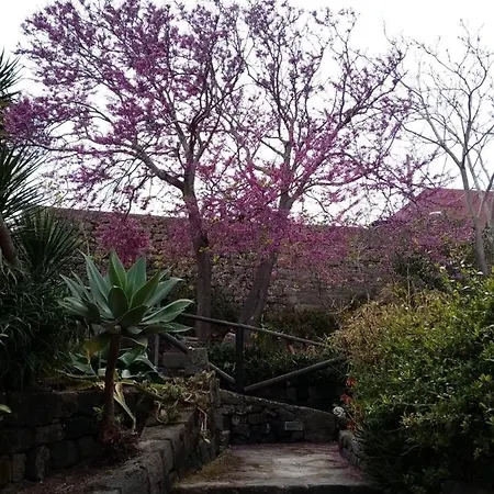 La Casa Dei Fiori Farm stay