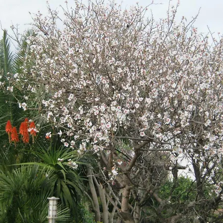 Farm stay La Casa Dei Fiori Kamma