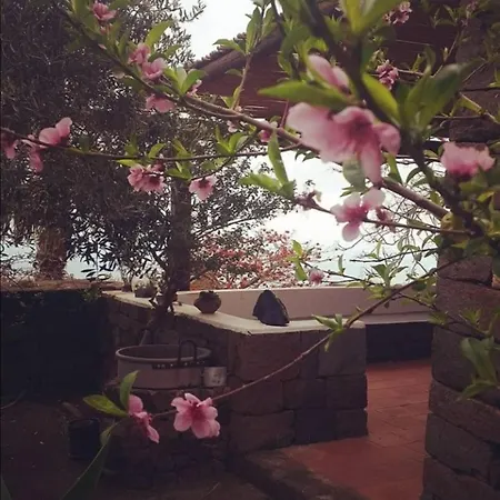 La Casa Dei Fiori Alloggio per agriturismo