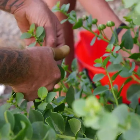 La Casa Dei Fiori Alloggio per agriturismo