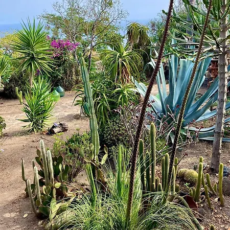 La Casa Dei Fiori *
