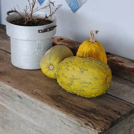 La Casa Dei Fiori Alloggio per agriturismo Kamma
