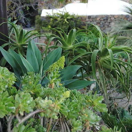 La Casa Dei Fiori