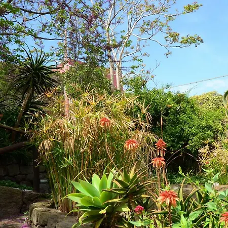 La Casa Dei Fiori Alloggio per agriturismo Kamma
